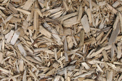 biomass boilers Sandvoe
